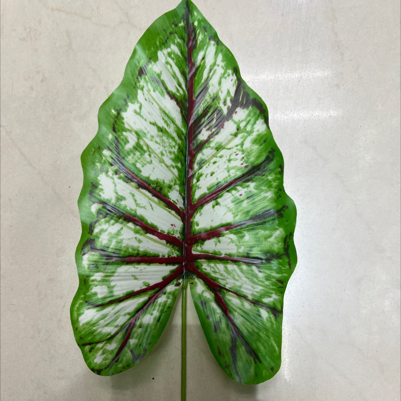 小号的铁丝的彩虹叶绿色，浅色的，叶片是胶布的细节图