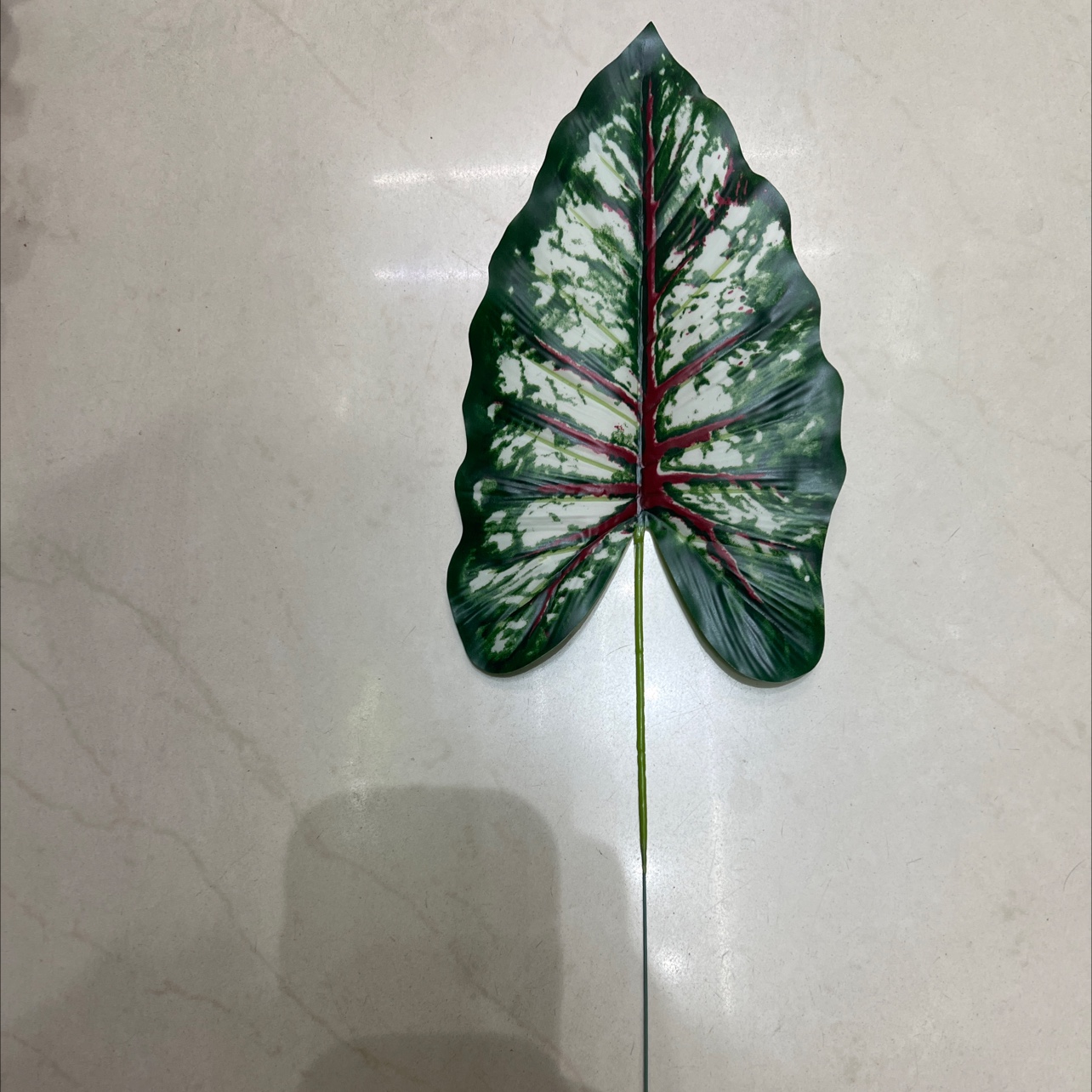 小号的铁丝的彩虹叶绿色，深色的，叶片是胶布的详情图2