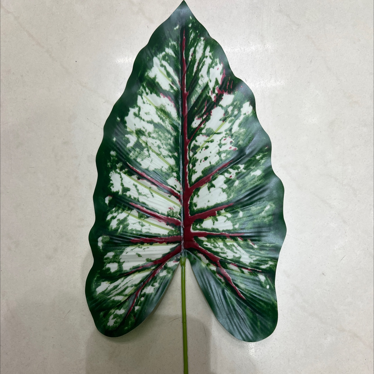 小号的铁丝的彩虹叶绿色，深色的，叶片是胶布的详情图3