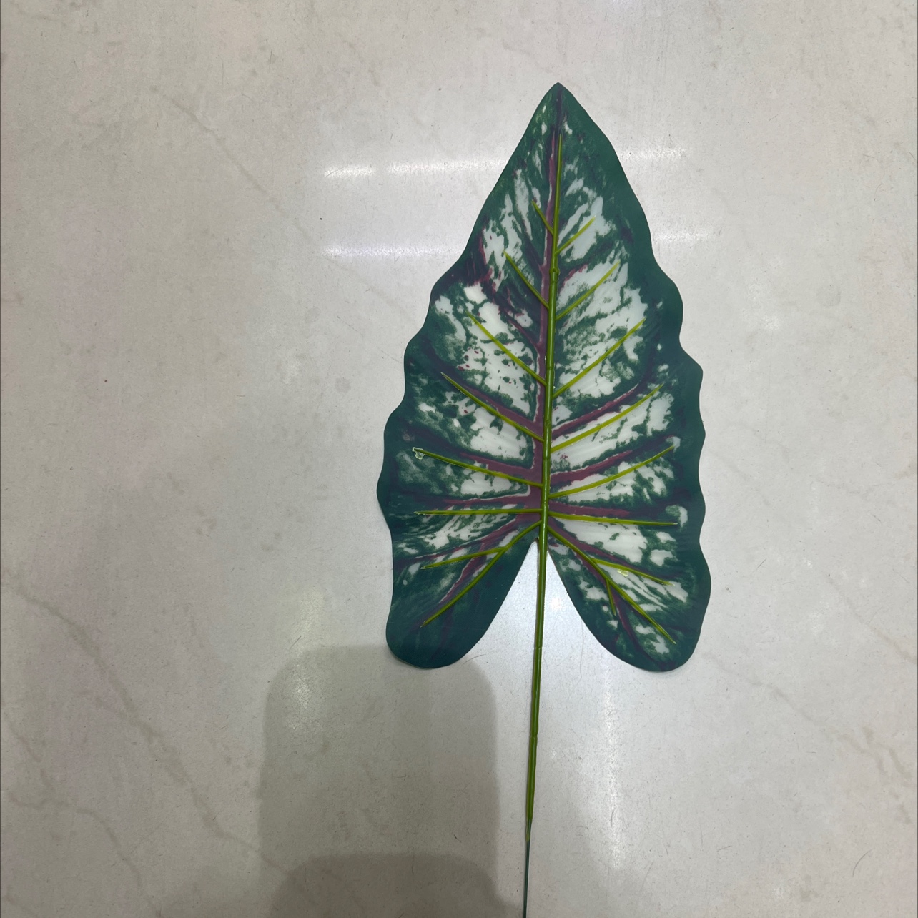 小号的铁丝的彩虹叶绿色，深色的，叶片是胶布的详情图4