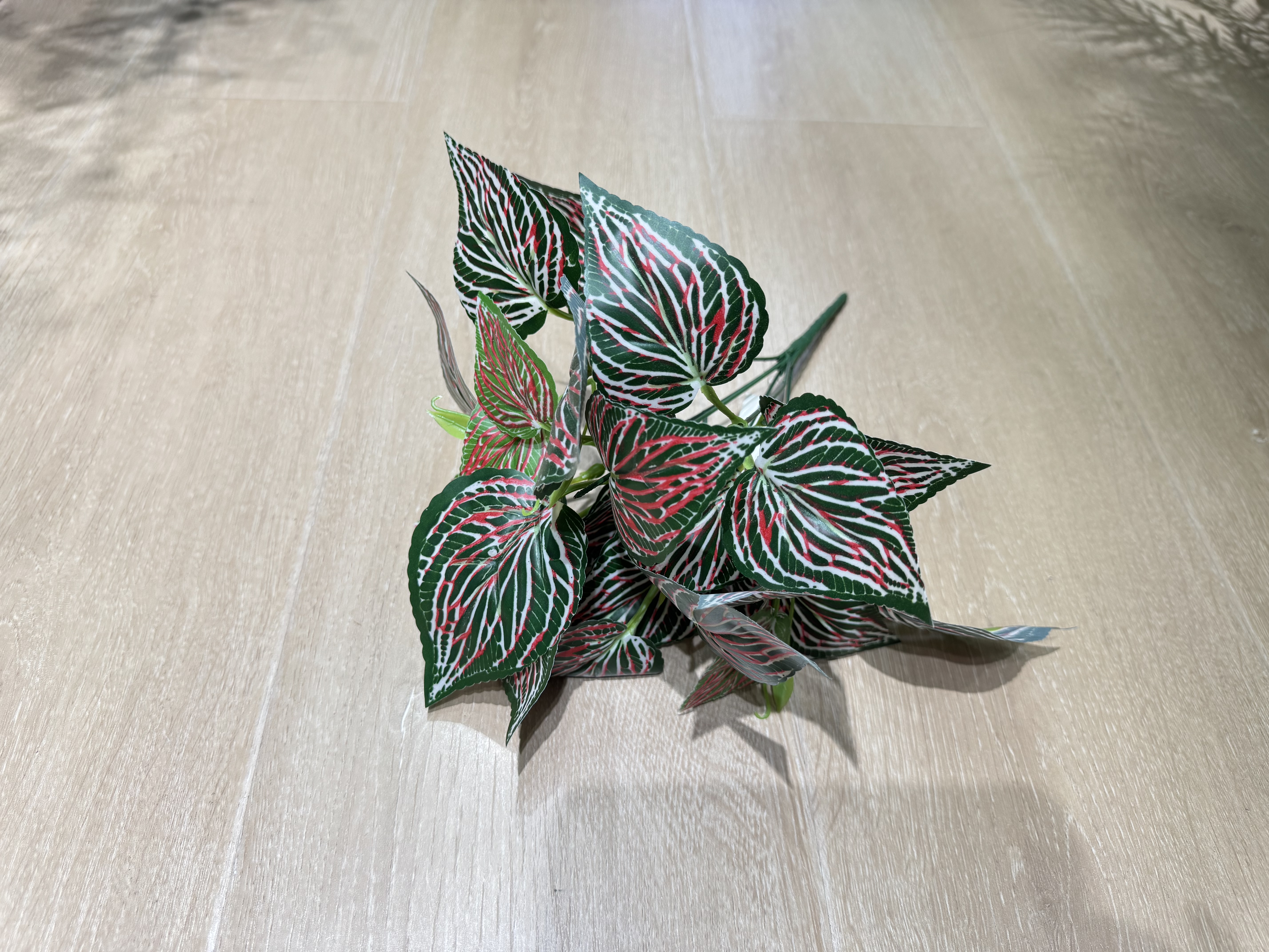 仿真植物实物图