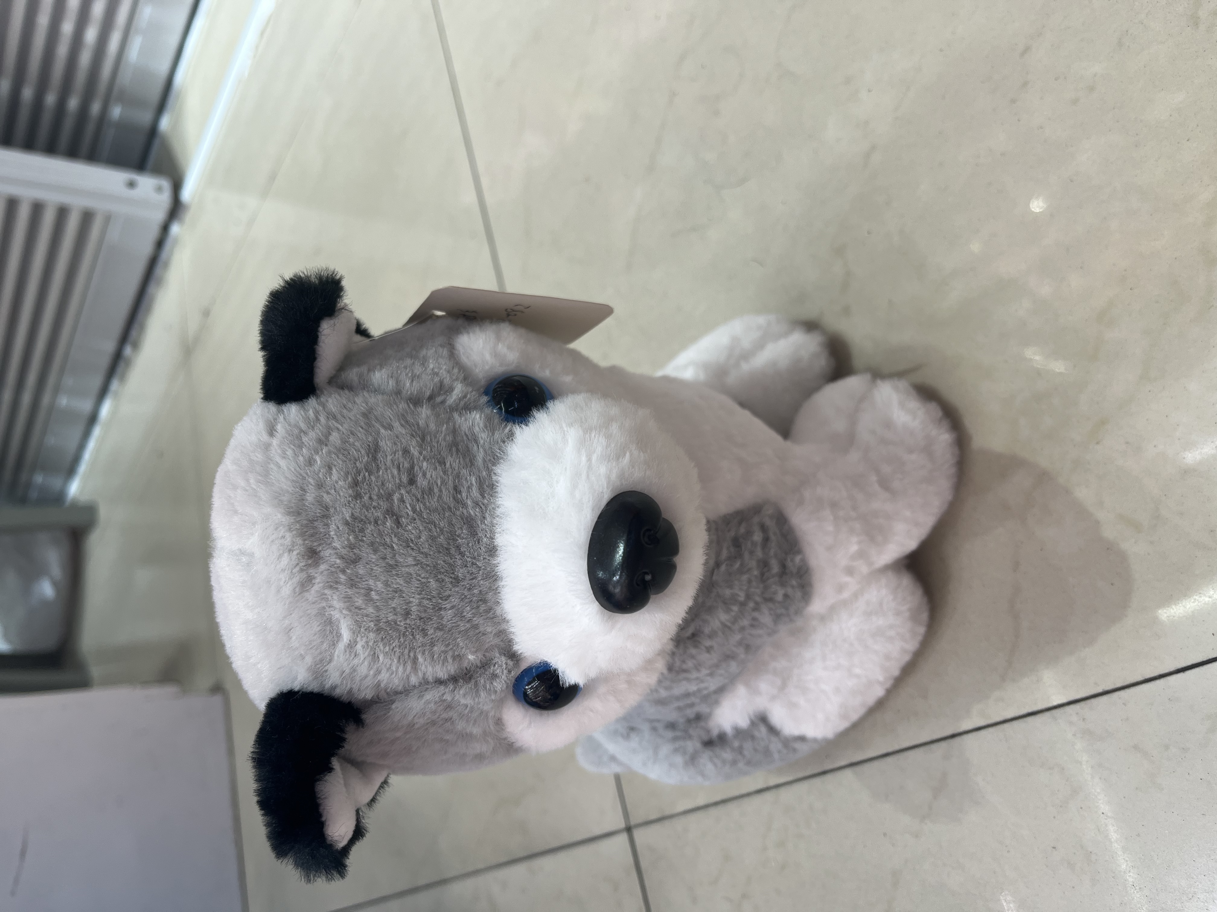 25公分兔子毛歪头哈士奇狗毛绒玩具