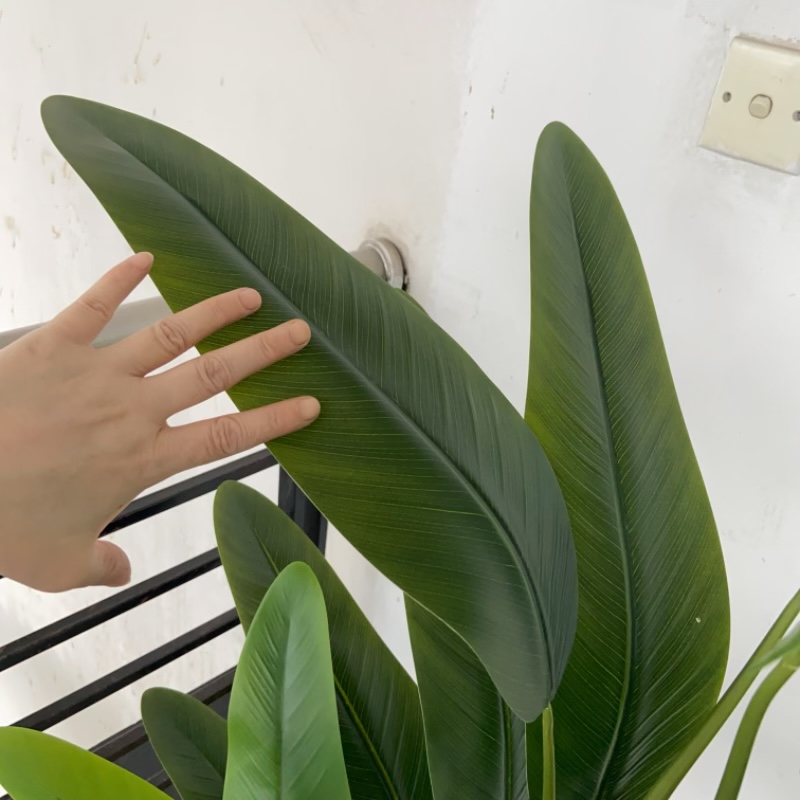 Simulated green plant decorative ornaments, green plant model handicrafts, multi-leaf canna lilies Application Scenario