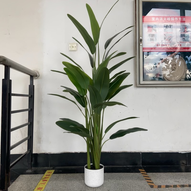 仿真绿植装饰摆件绿植模型工艺品多叶美人蕉