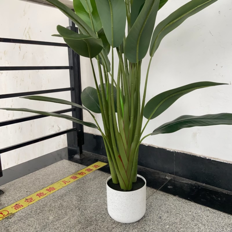 Simulated green plant decorative ornaments, green plant model handicrafts, multi-leaf canna lilies Item Picture