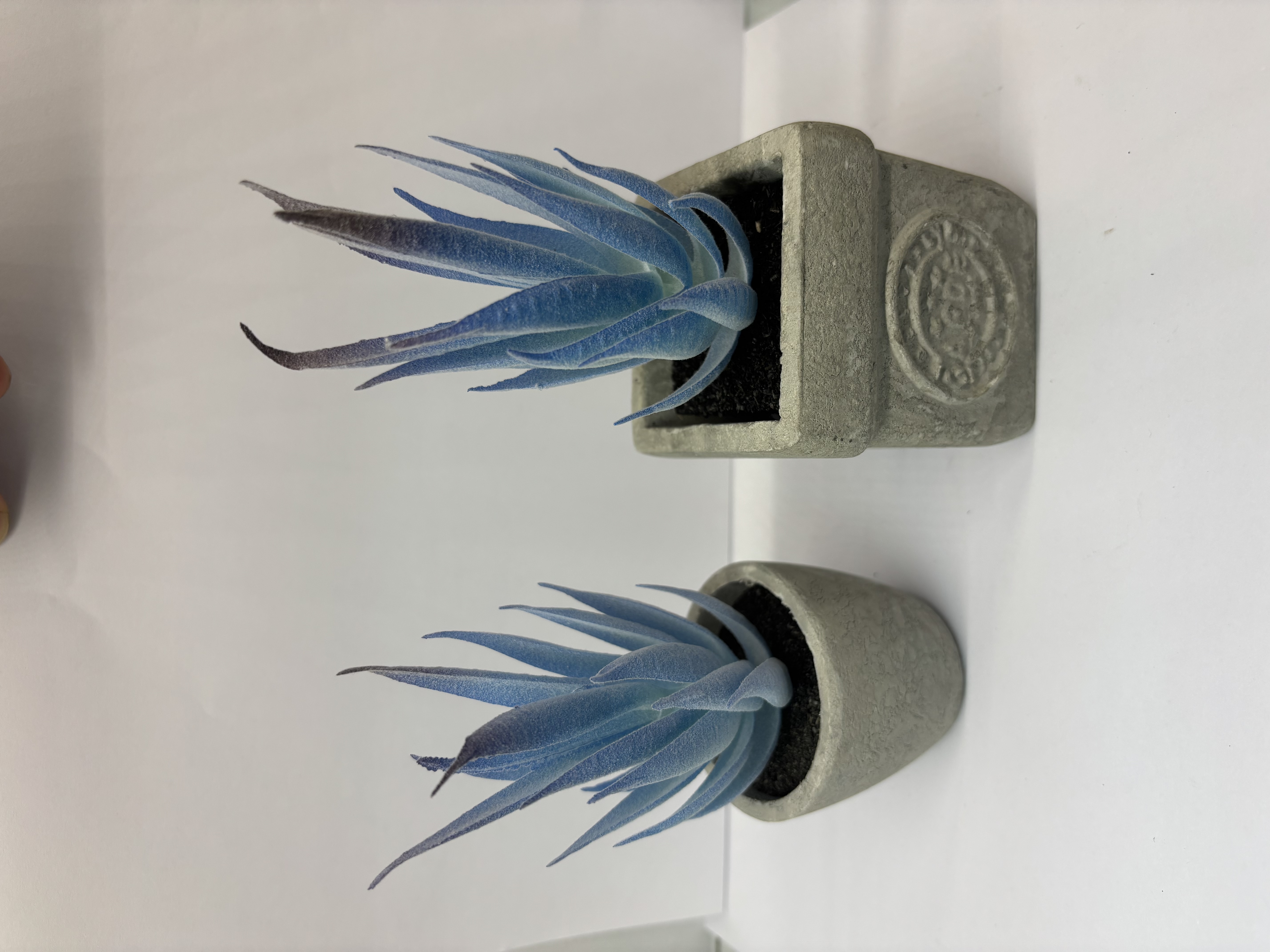仿真绿植松树微景观装饰植物假树盆栽室内桌面摆件绿植松绿植装饰仿真盆栽微景观