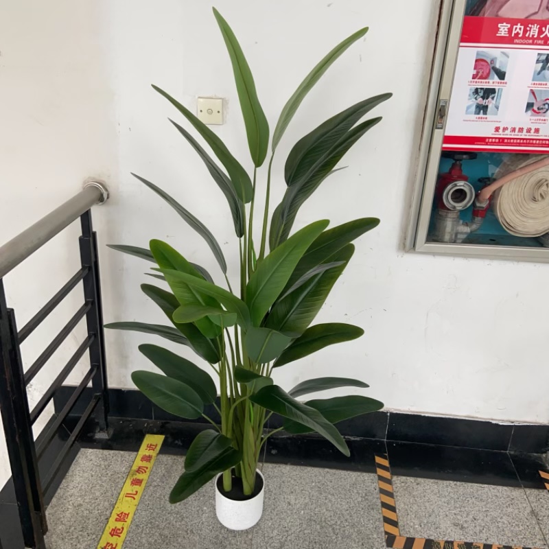 Simulated green plant decorative ornaments, green plant model handicrafts, multi-leaf canna lilies Specification image