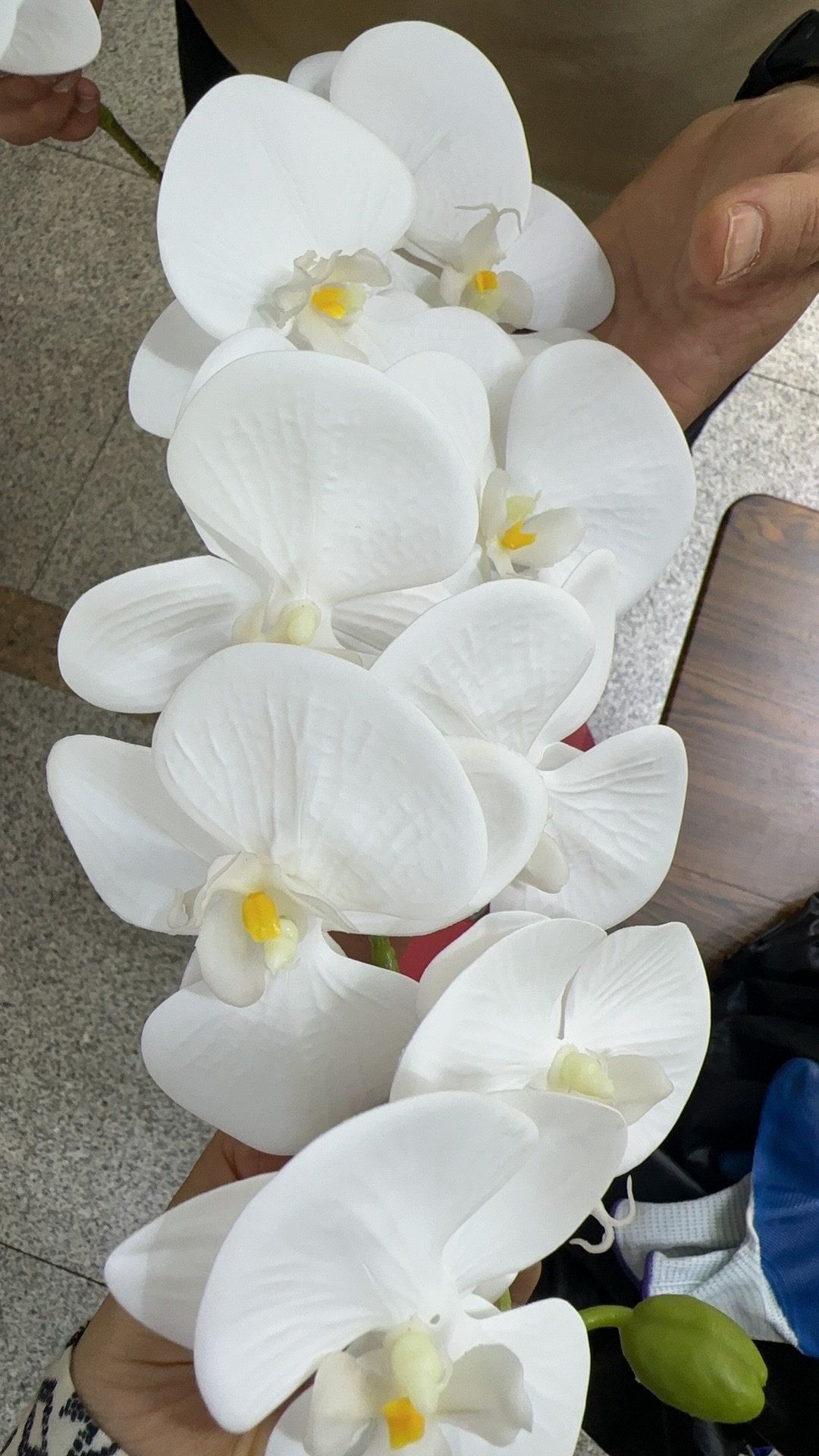 假花仿真花圣诞花假花仿真花银杏叶仿真花