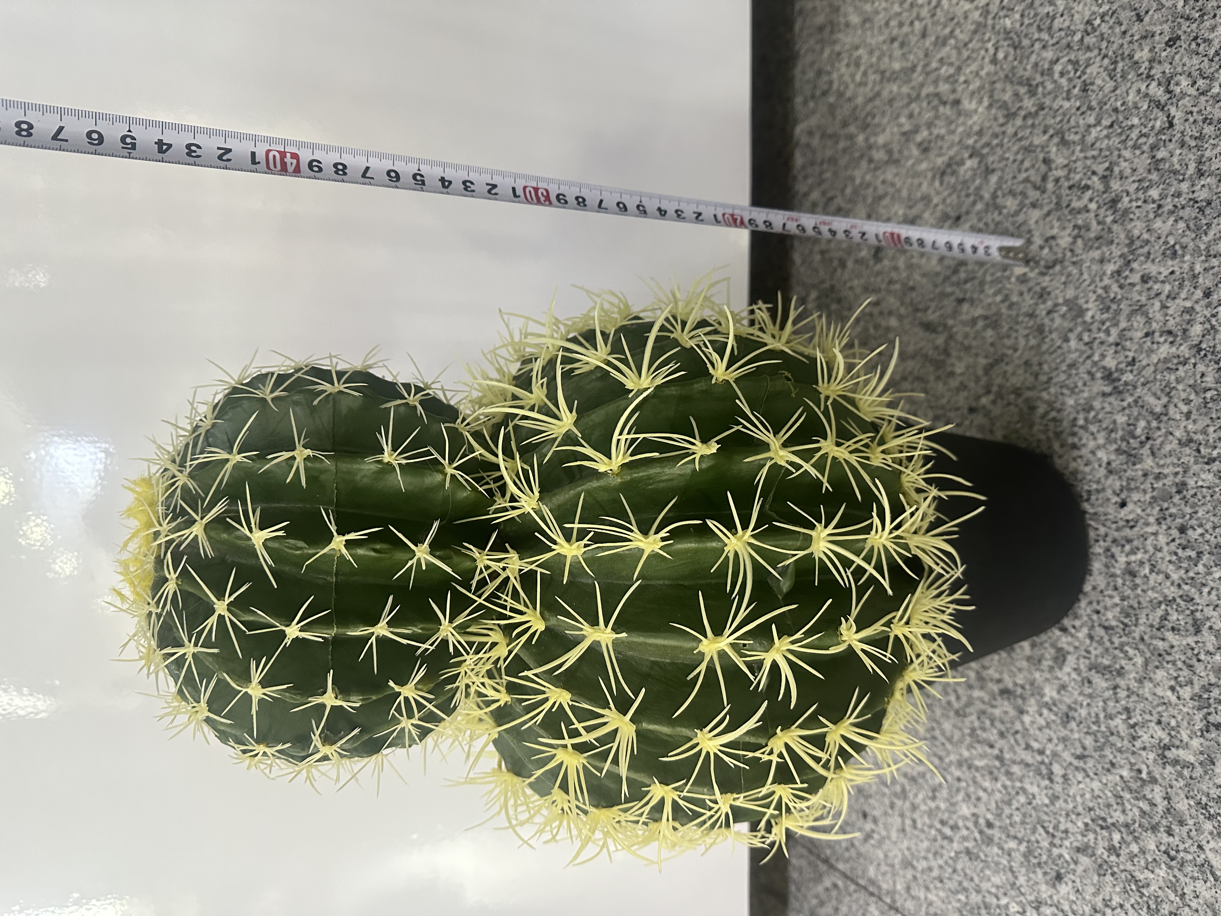 محاكاة محاكاة والنبات، محاكاة الصبار 🌵 XianRenQiu details Picture