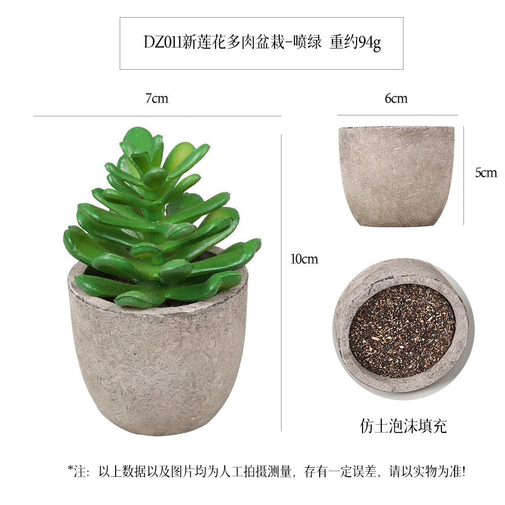 多肉盆栽详情图2