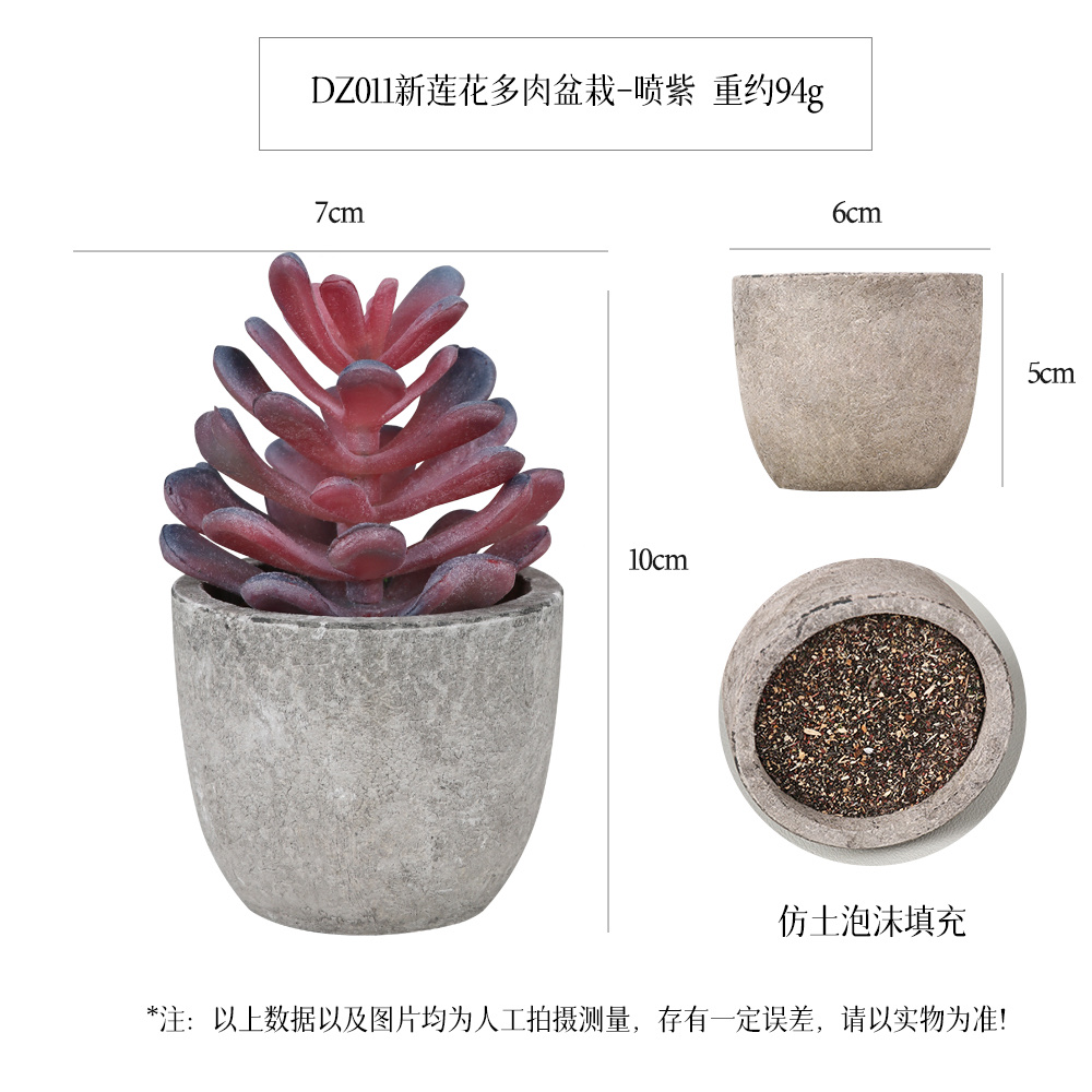 多肉盆栽详情图3