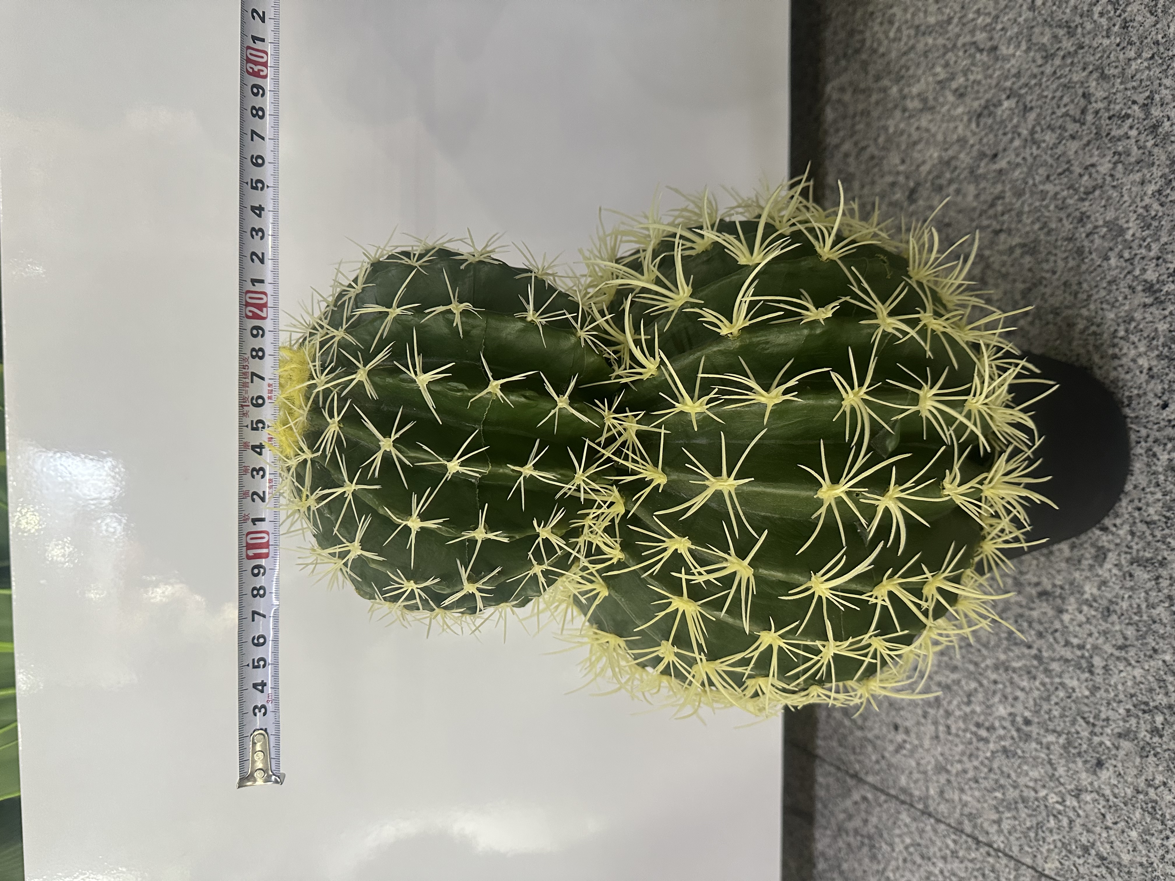 محاكاة محاكاة والنبات، محاكاة الصبار 🌵 XianRenQiu