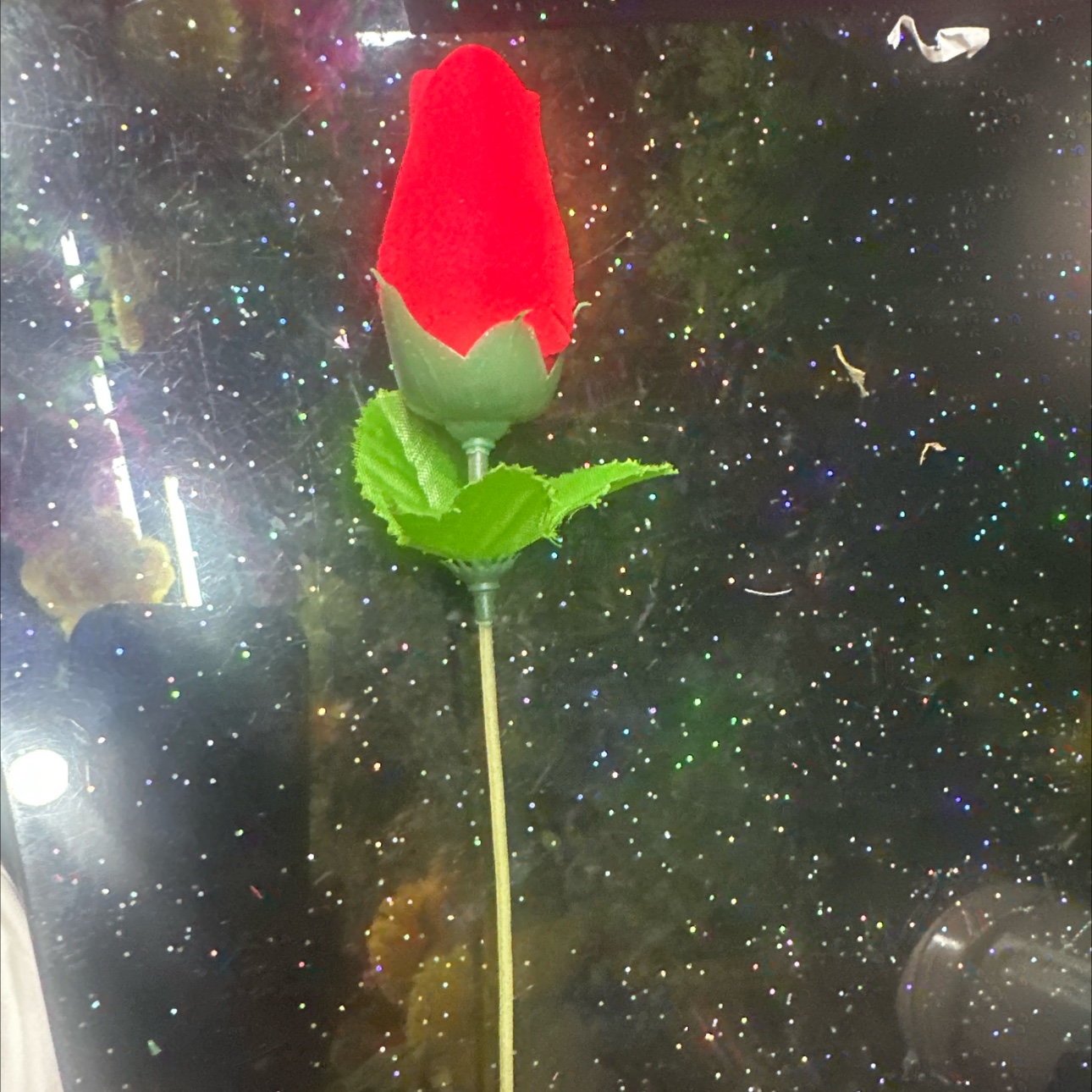 开口手链 手工制作创意礼物羊毛毡戳戳乐男生开口手链羊毛毡戳戳乐羊毛毡戳戳乐耳饰安哥拉仿真花仿仿真花仿真花假花仿真花假花仿