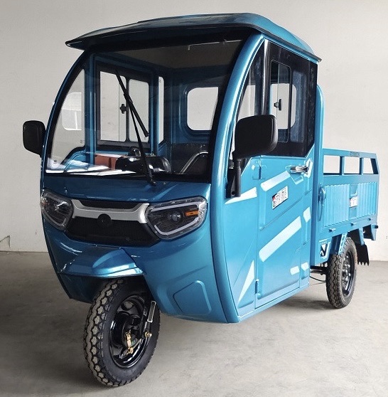 天能电池电车专用三轮电瓶车 电动代步车老年小型人力三轮车带棚子电动三轮车货运载重拉货摩托三轮