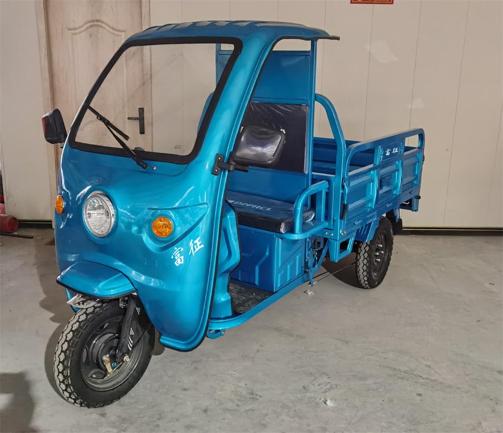 天能电池电车专用三轮电瓶车 电动代步车老年款 小型人力三轮车详情图2