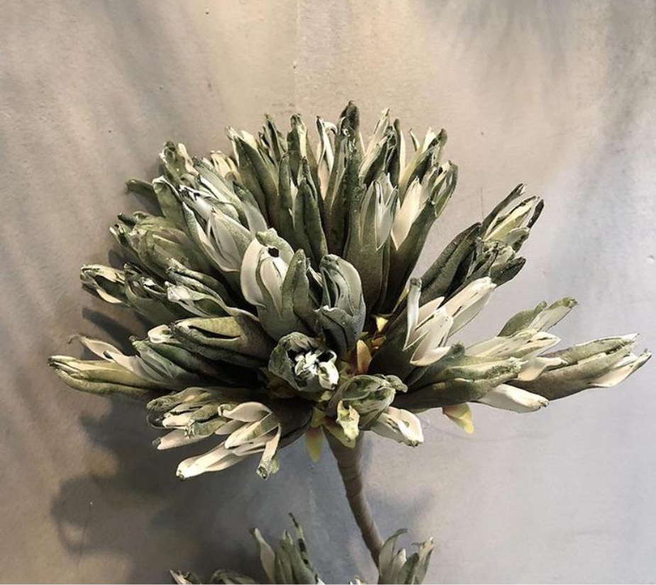 仿真玫瑰实物图