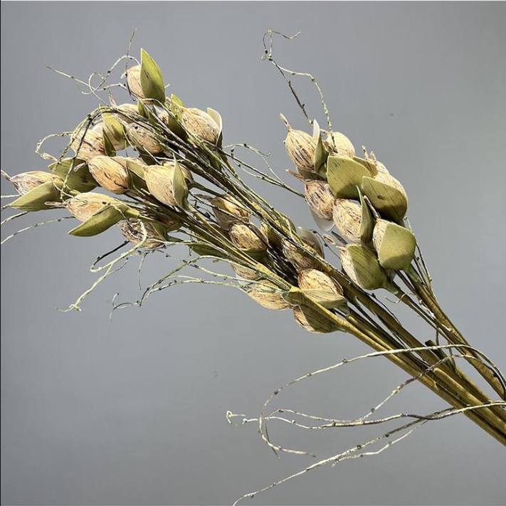 香皂花珍珠棉花束仿真滴胶干花装饰Flowers 创意礼品家居摆件婚庆布置详情图2