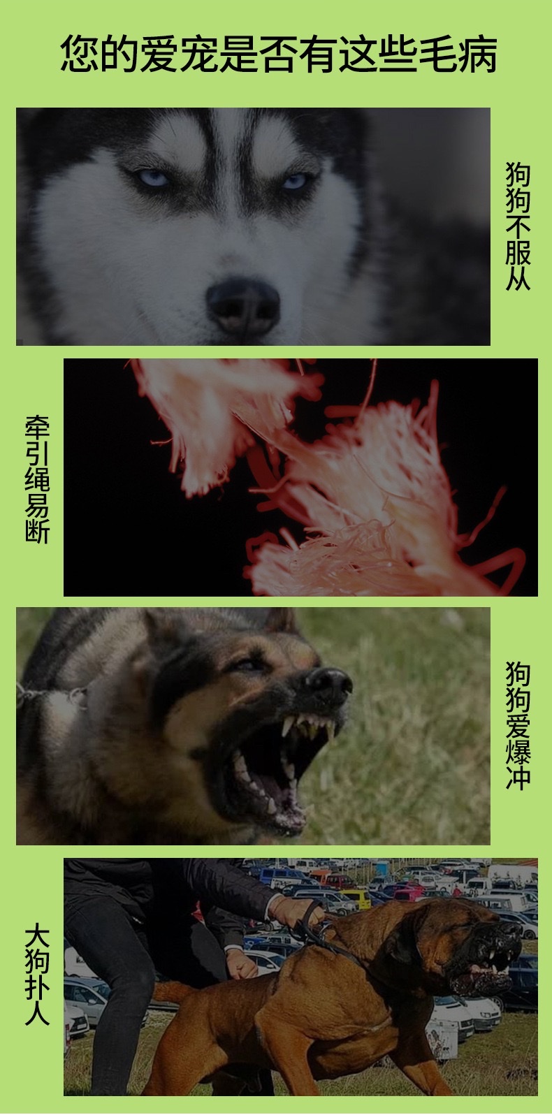 宠物牵引绳新款高弹力可伸缩缓冲弹力绳防勒型遛狗护手绳宠物用品宠物狗弹性牵引绳伸缩狗绳宠物自动牵引绳宠物宠物牵引绳详情图3