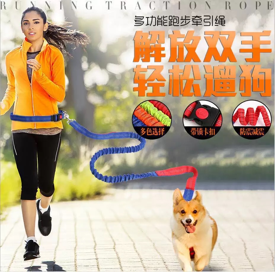 宠物收缩背带牵引绳宠物牵引带遛狗绳外出跑步遛狗绳宠物用品