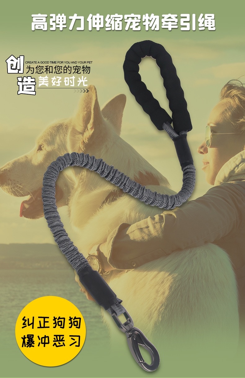 宠物牵引绳新款高弹力可伸缩缓冲弹力绳防勒型遛狗护手绳宠物用品宠物狗弹性牵引绳伸缩狗绳宠物自动牵引绳宠物宠物牵引绳详情图1