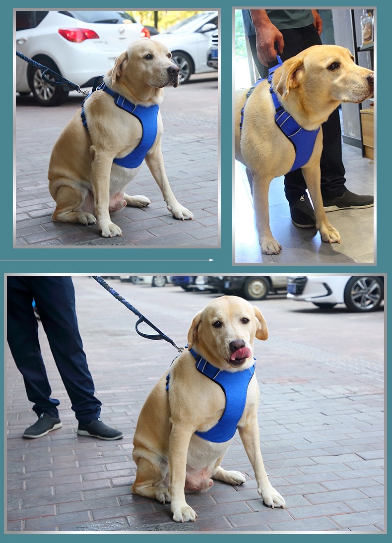狗狗背心式胸背工字型牵引背带小中大型犬户外溜狗宠物用品套装宠物狗宠物用品宠物驱虫项圈宠物猫宠物用品宠物产品详情图9