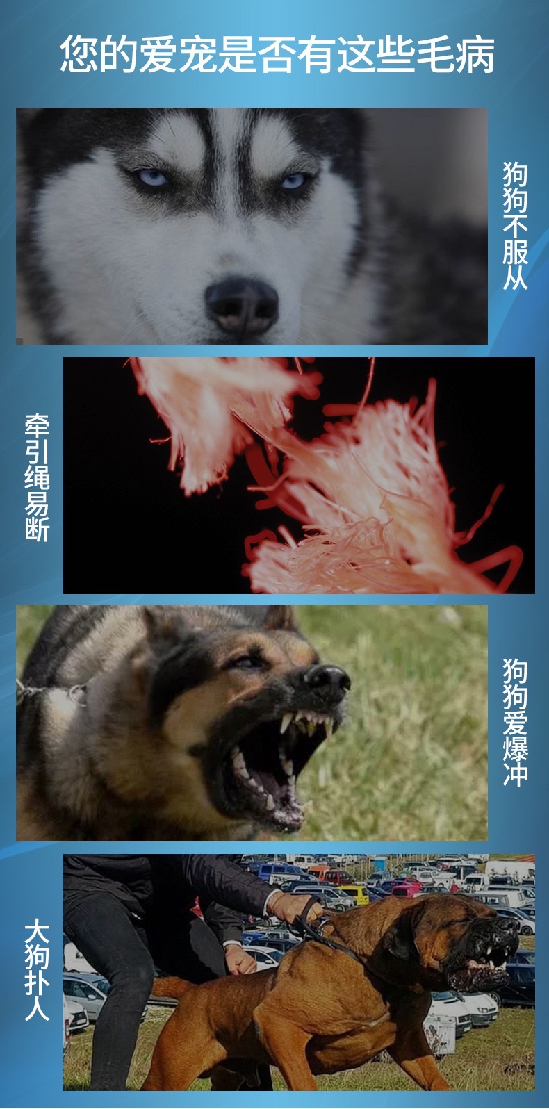 迷彩弹力战术手绳高弹力可伸缩缓冲弹力绳防勒遛狗尼龙伸缩宠物绳宠物狗弹性牵引绳详情图9