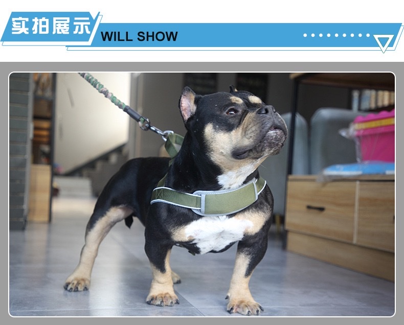 迷彩弹力战术手绳高弹力可伸缩缓冲弹力绳防勒遛狗尼龙伸缩宠物绳宠物狗弹性牵引绳详情图7