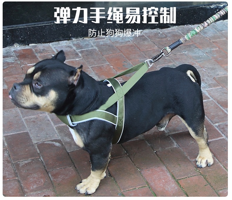 迷彩弹力战术手绳高弹力可伸缩缓冲弹力绳防勒遛狗尼龙伸缩宠物绳宠物狗弹性牵引绳详情图3