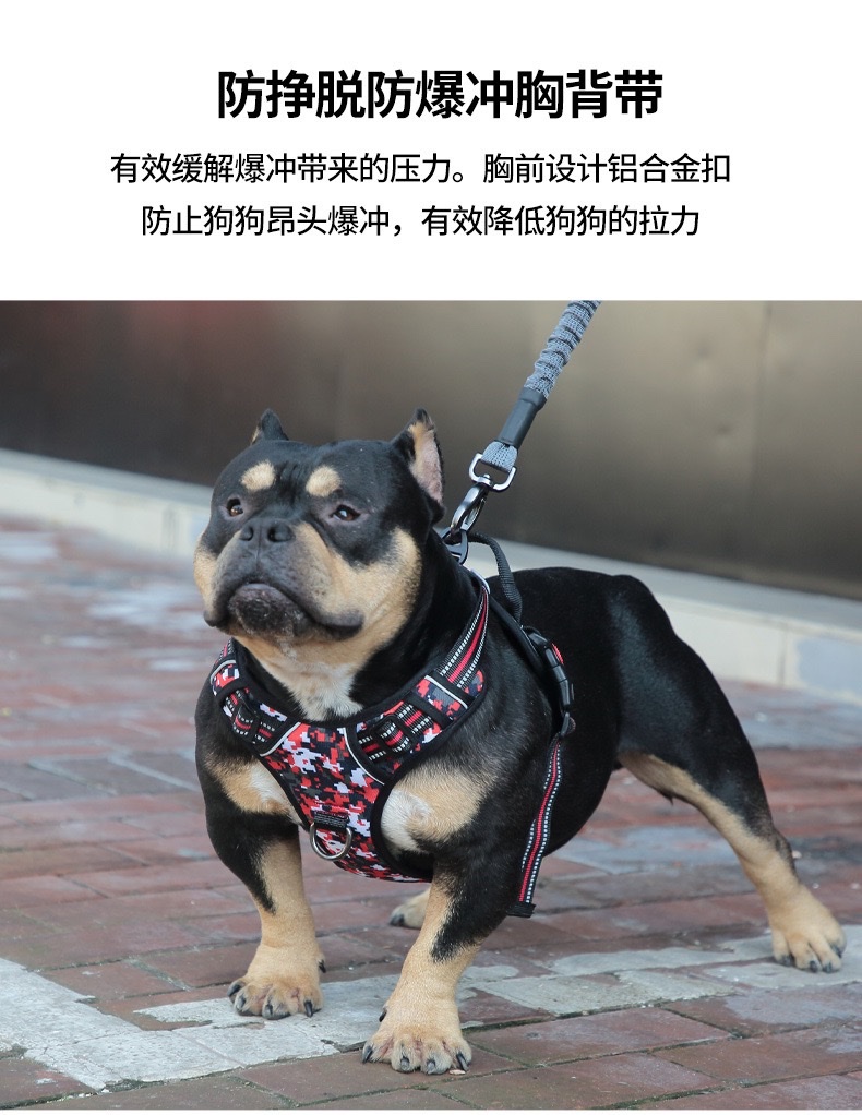 宠物防爆加固胸背迷彩K8防挣脱大中小型犬不勒脖美国3mm发光条详情图2