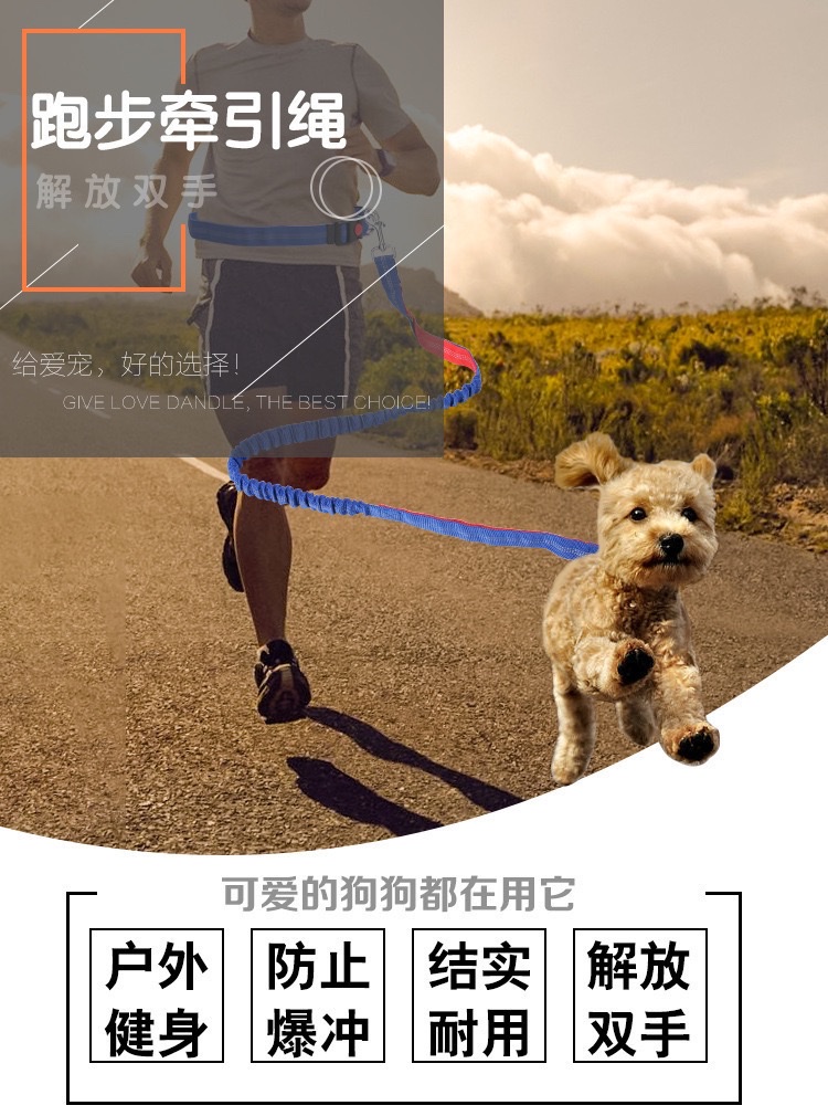 宠物收缩背带牵引绳宠物牵引带遛狗绳外出跑步遛狗绳宠物用品详情图9