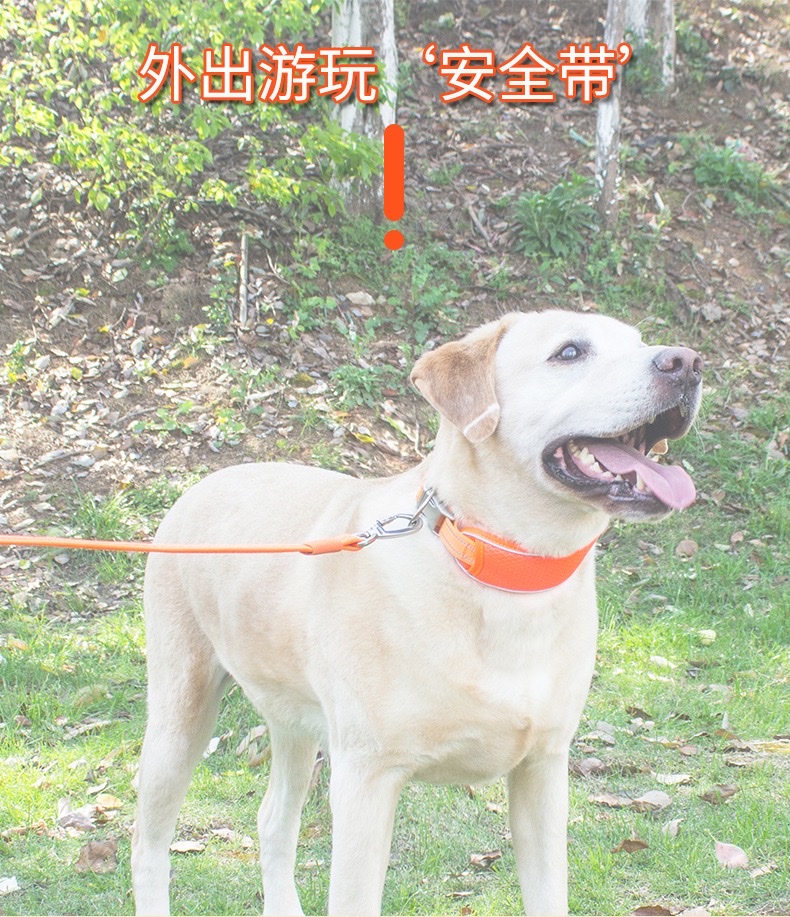 狗狗九孔透气加宽网布脖颈项圈夜视反光条不伤脖不勒脖宠物用品现详情图3