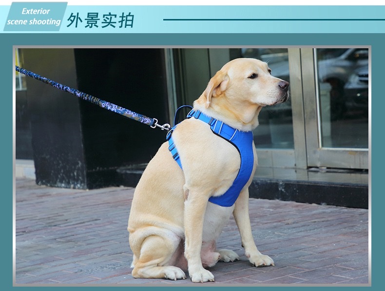狗狗背心式胸背工字型牵引背带小中大型犬户外溜狗宠物用品套装宠物狗宠物用品宠物驱虫项圈宠物猫宠物用品宠物产品详情图8