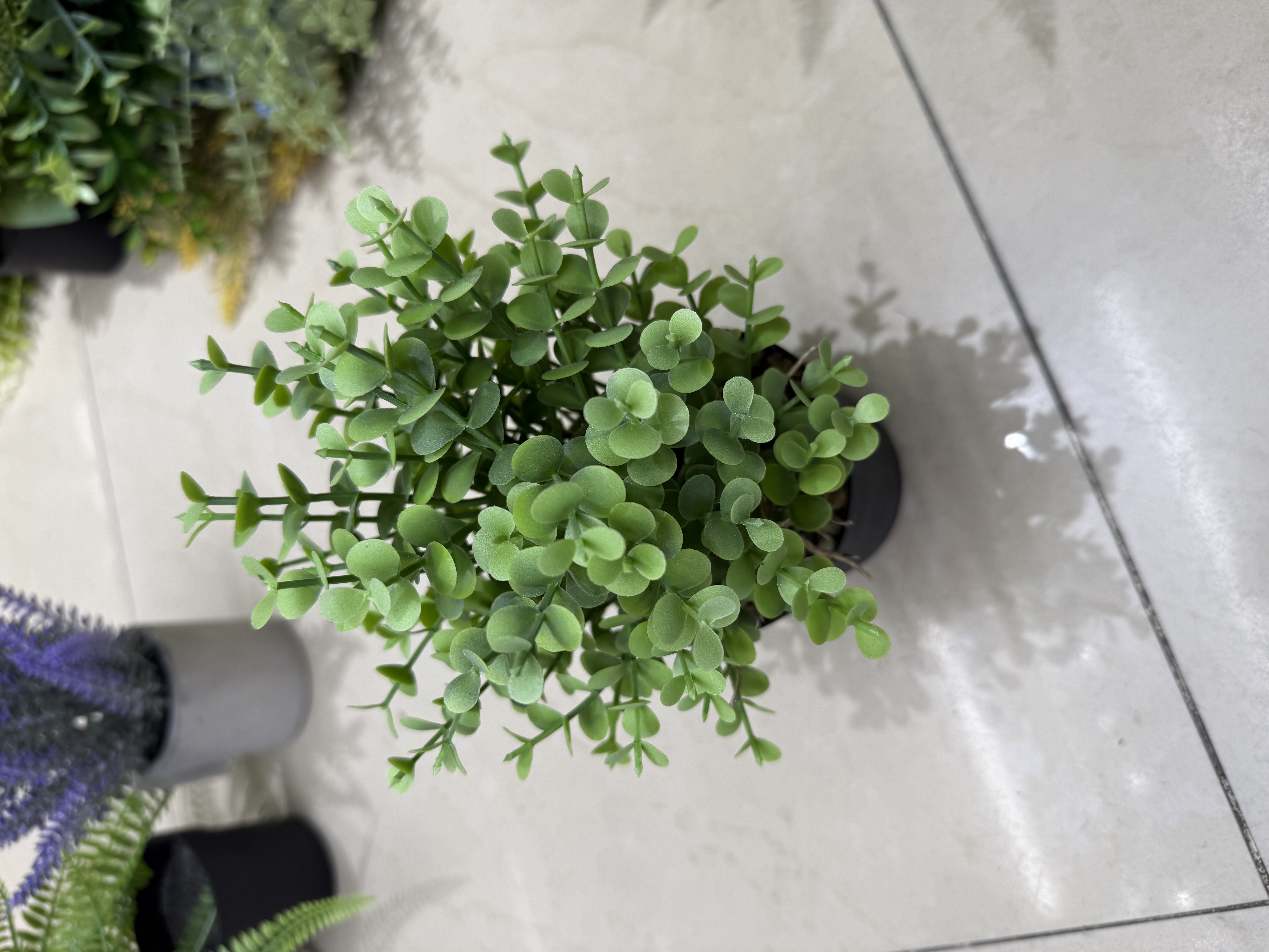 Parpar儿童牙膏水果味防蛀护齿清新口气温和配方安全适用