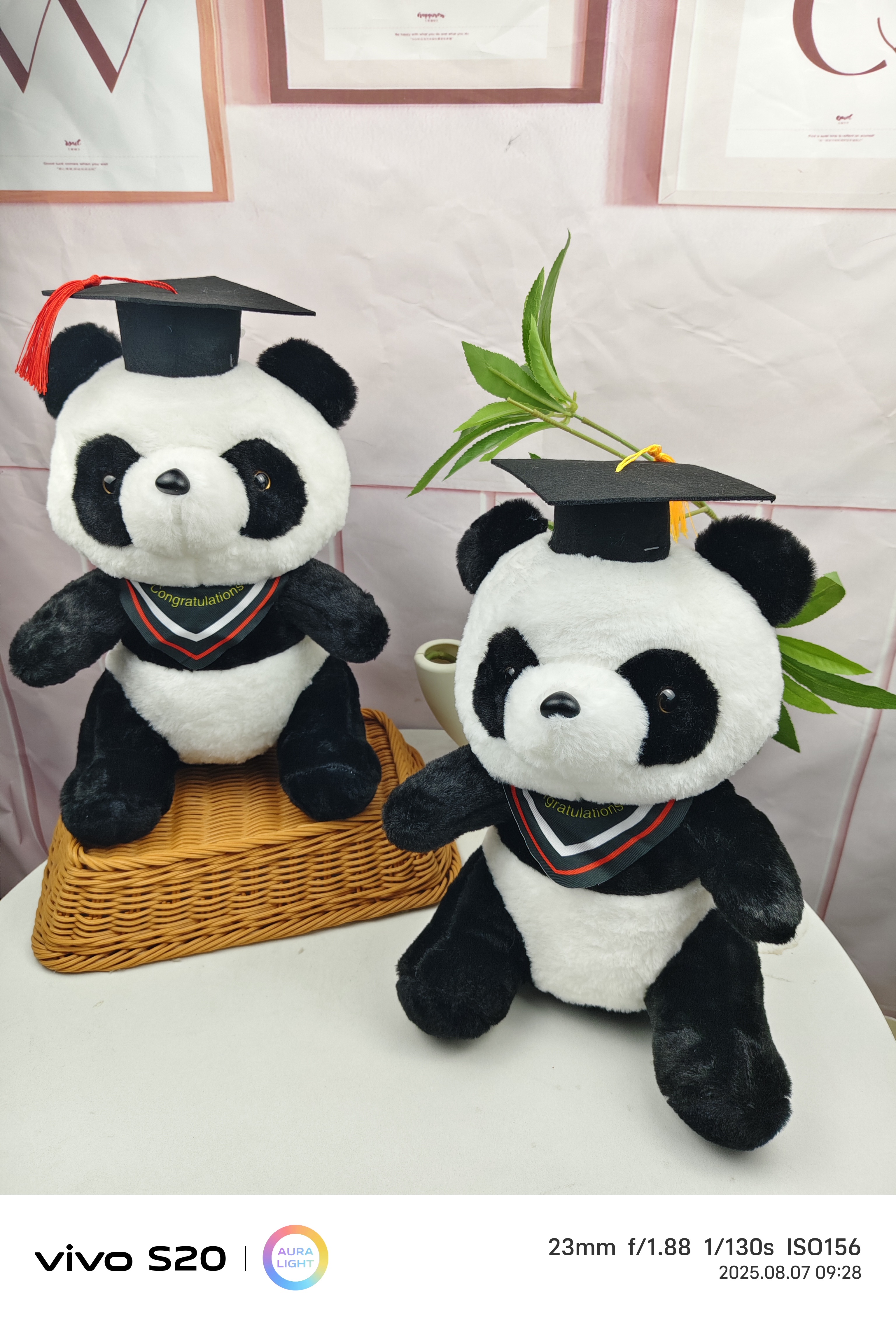 八寸玩具，抓娃娃和婚庆玩具批发毛绒玩具