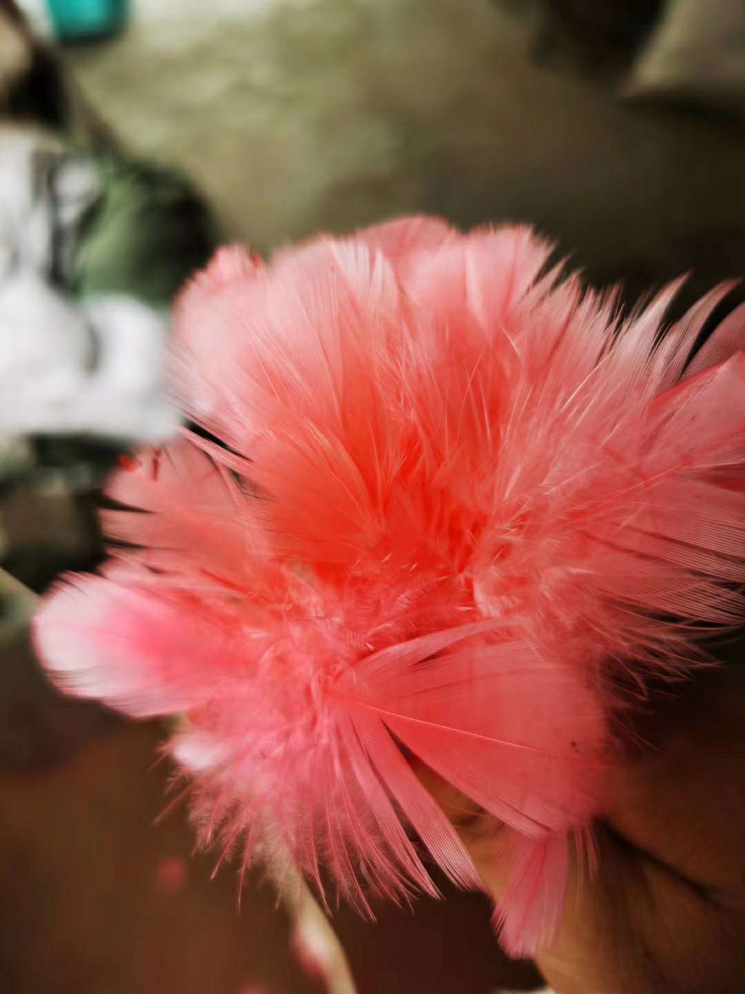 振鑫羽毛 厂家样品 现货各类彩色羽毛婚礼装饰插花舞台服装婚庆指引辅料样品