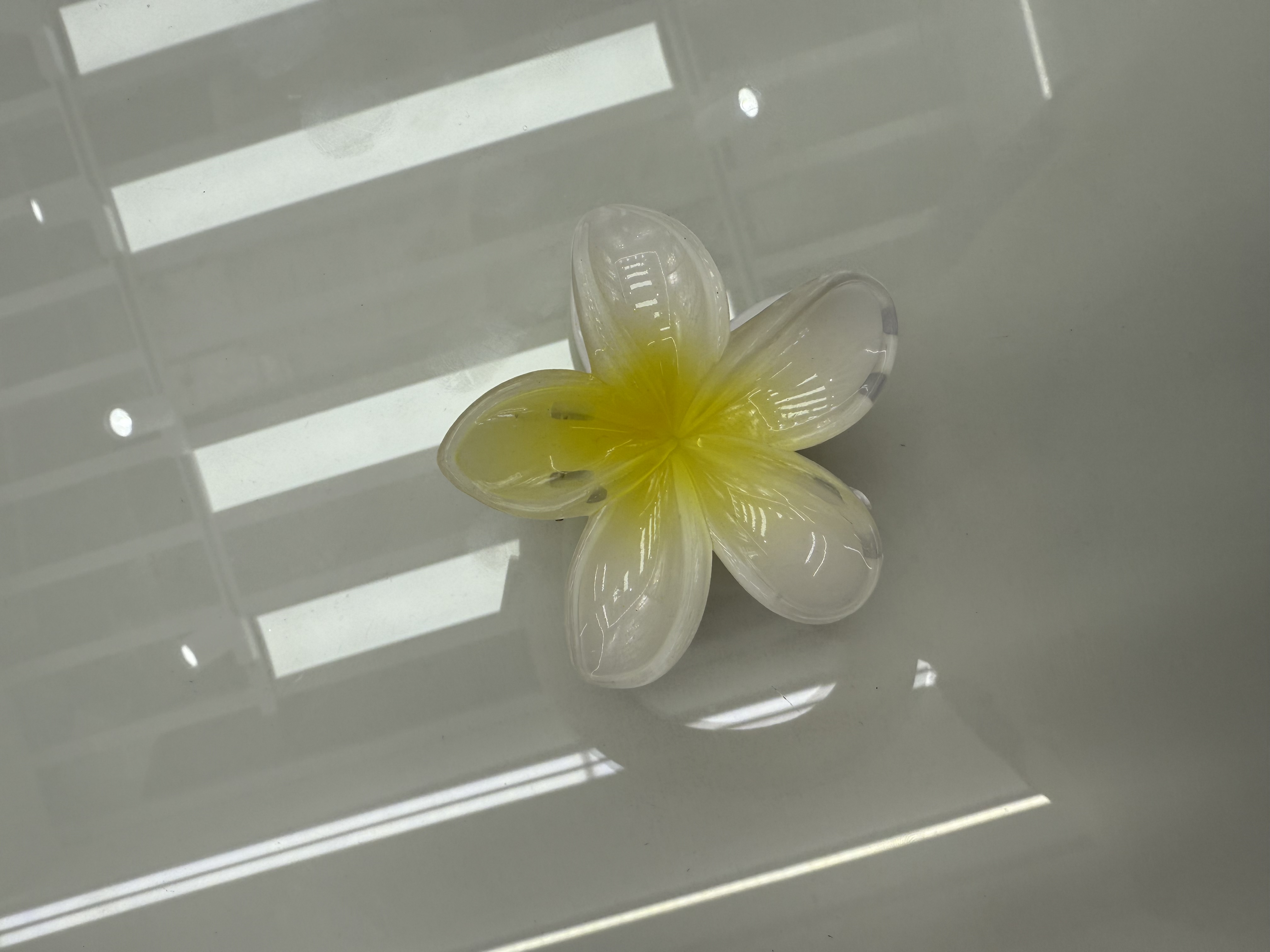 鸡蛋花抓夹~夏季沙滩出游拍照花朵夹子ins鲨鱼夹欧美辣妹半扎发夹发夹