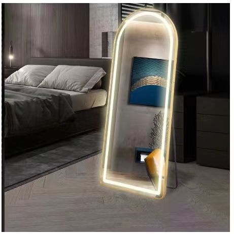 落地穿衣镜女生简约全身镜子时尚落地镜子电视柜组合家用装饰品