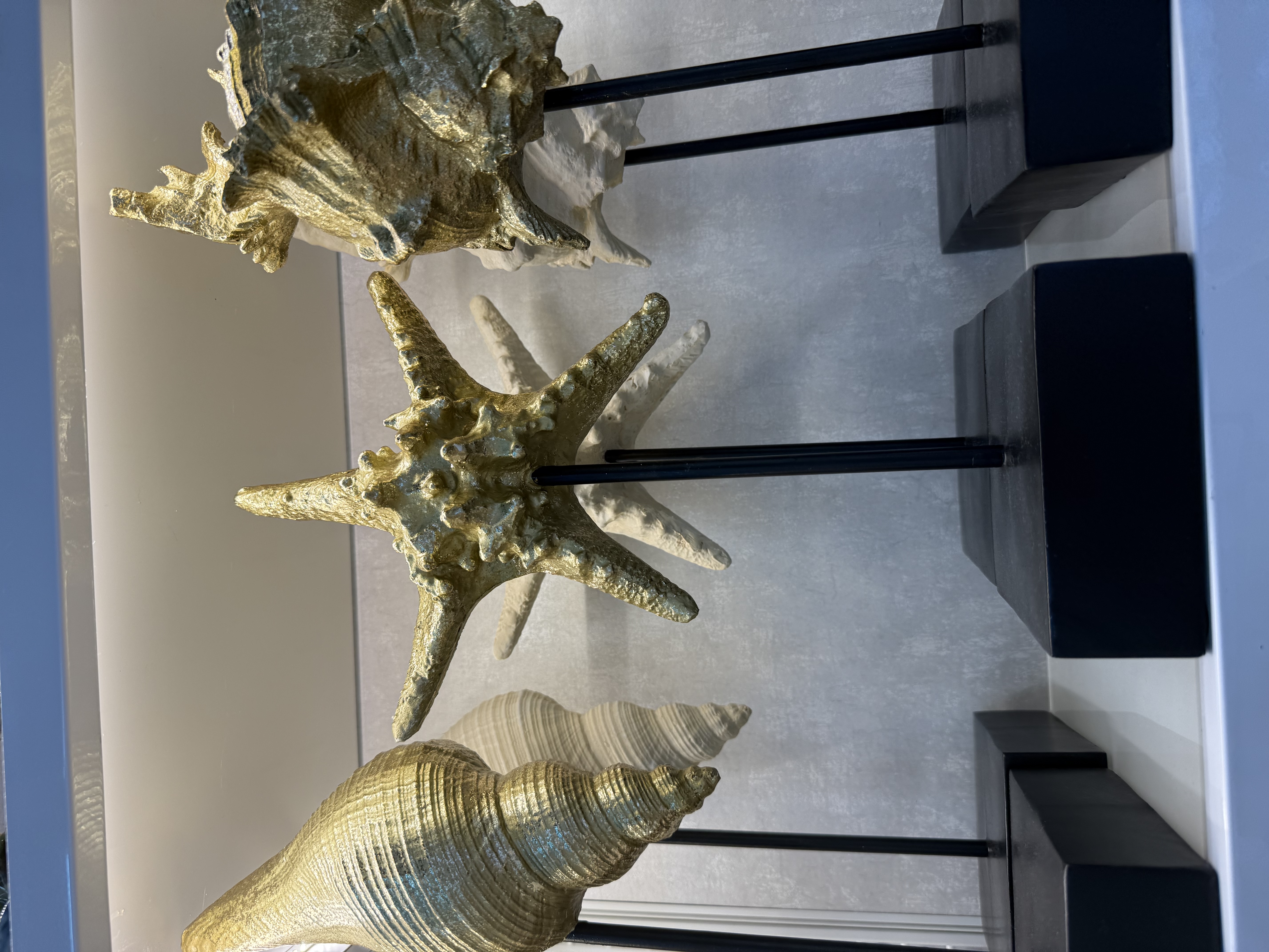 海洋海螺海星树脂摆件