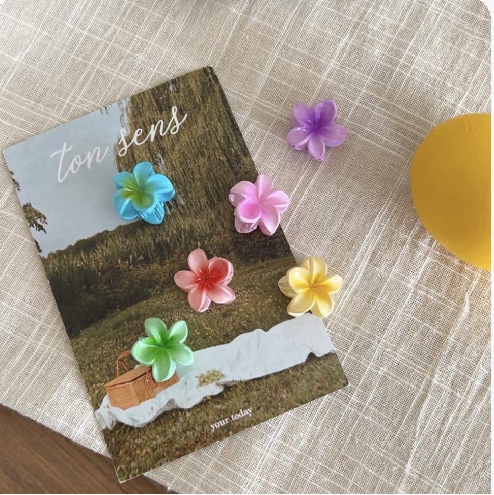 mini small fryer flower clipper, colorful flower braid claw, broken hair bangs clipper, edge clipper, hair accessory