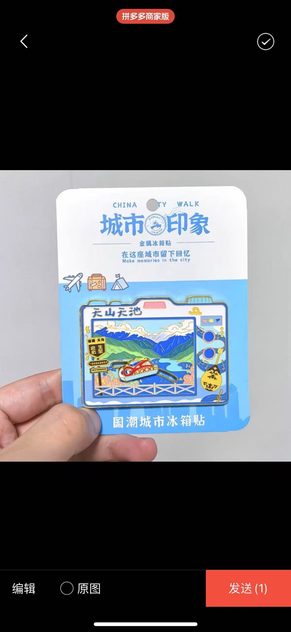 Metal fridge magnets, tourist souvenirs detail image 11