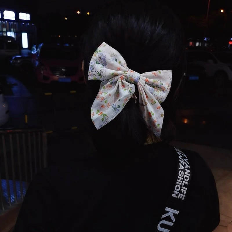 Large bow hair clip, small floral fresh bow at the back of the head, duckbill hair clip, hair clip headwear Application Scenario