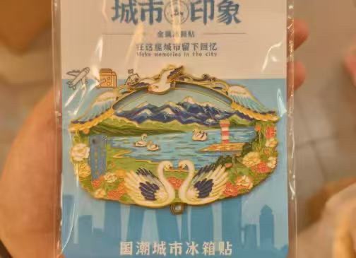 Metal fridge magnets, tourist souvenirs detail image 13