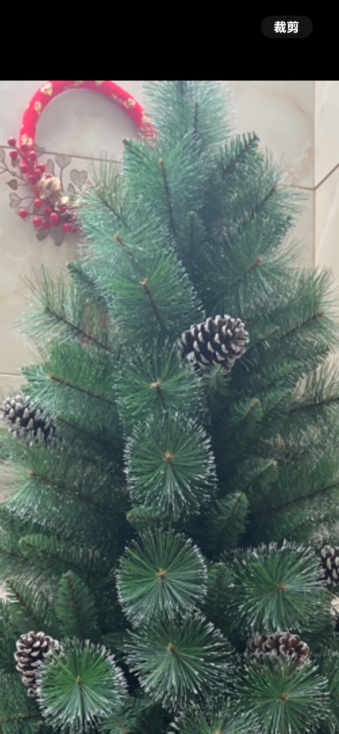 Christmas tree, Christmas gift box, high-end Christmas tree, ironfoot tree details Picture