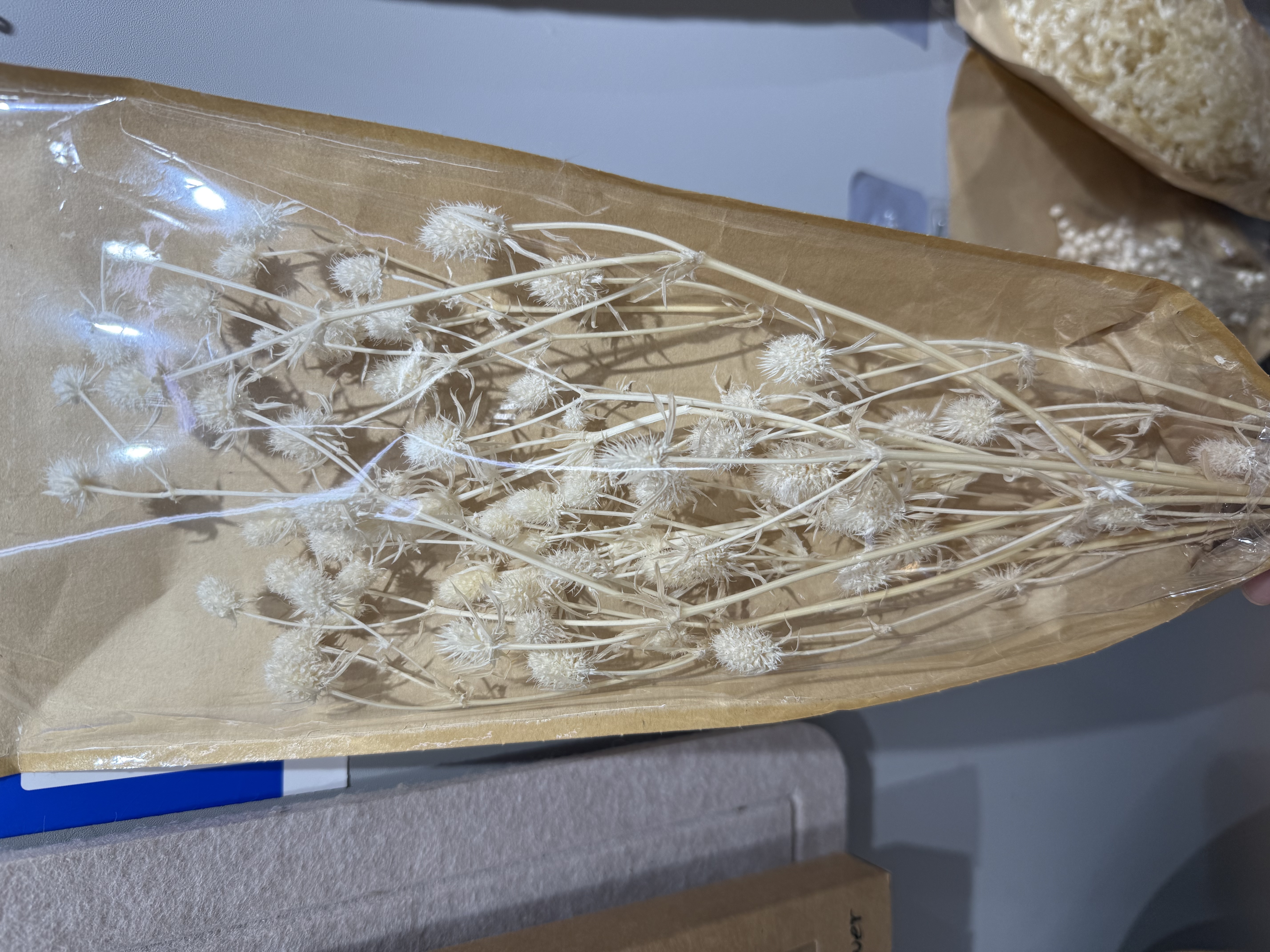 情人果干花DIY干花干果装饰材料家居装饰拍摄道具婚庆装饰干花DIY干花干果