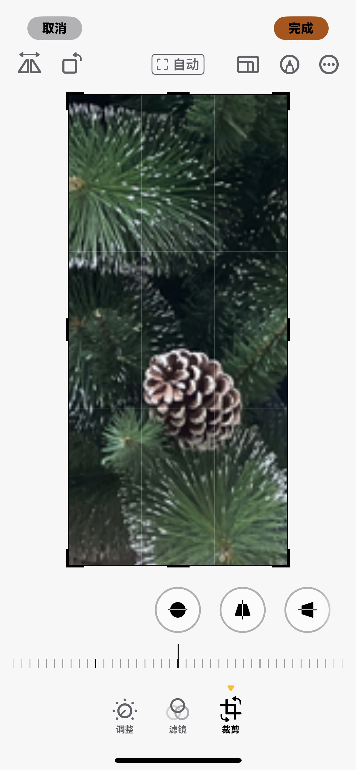 Christmas tree, Christmas gift box, high-end Christmas tree, ironfoot tree Application Scenario