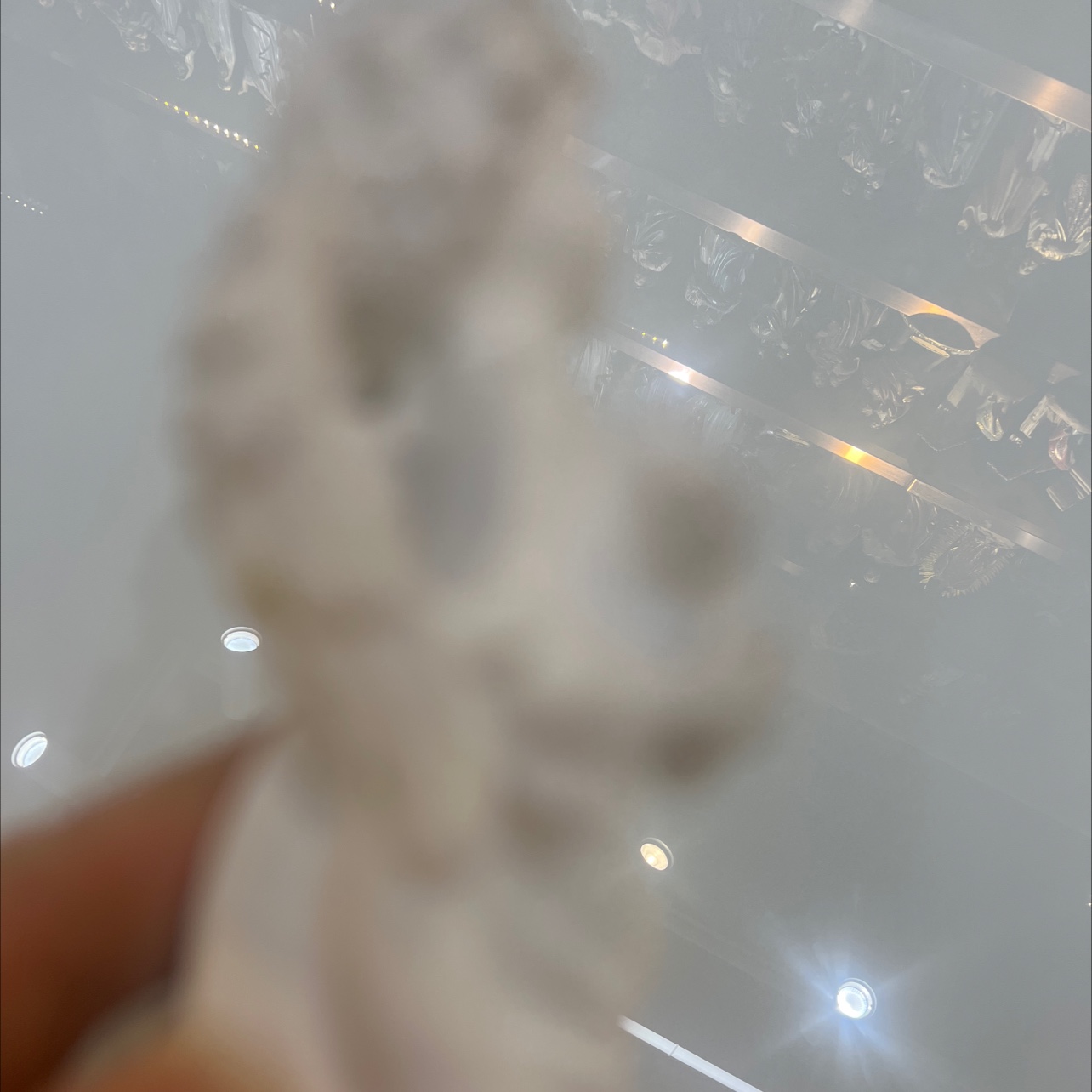 White Angel Application Scenario