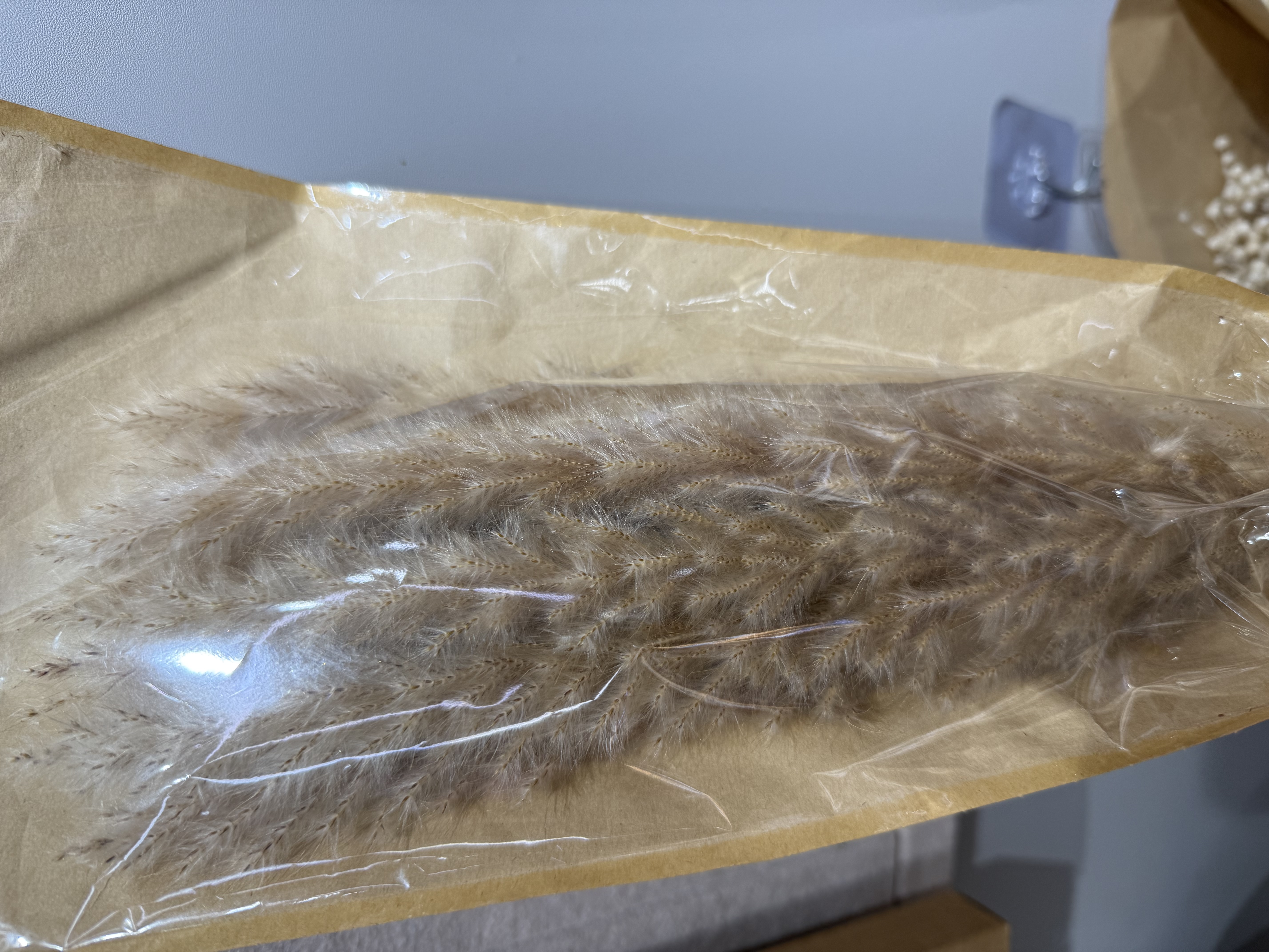 干花DIY干花干果装饰用花艺材料永生花花材 拍摄道具 装饰材料 国庆用品干花DIY干花干果