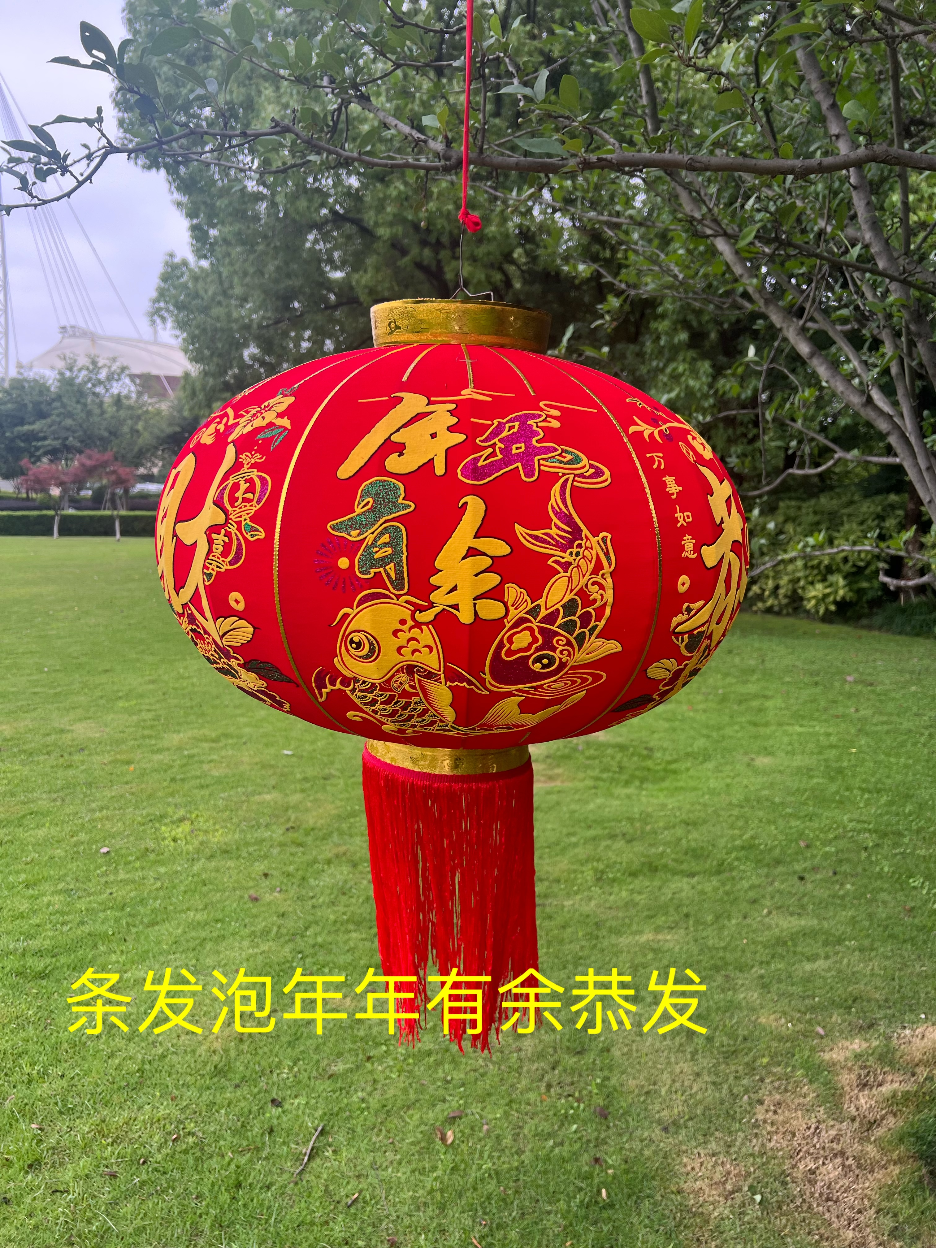 发泡年年有余灯笼