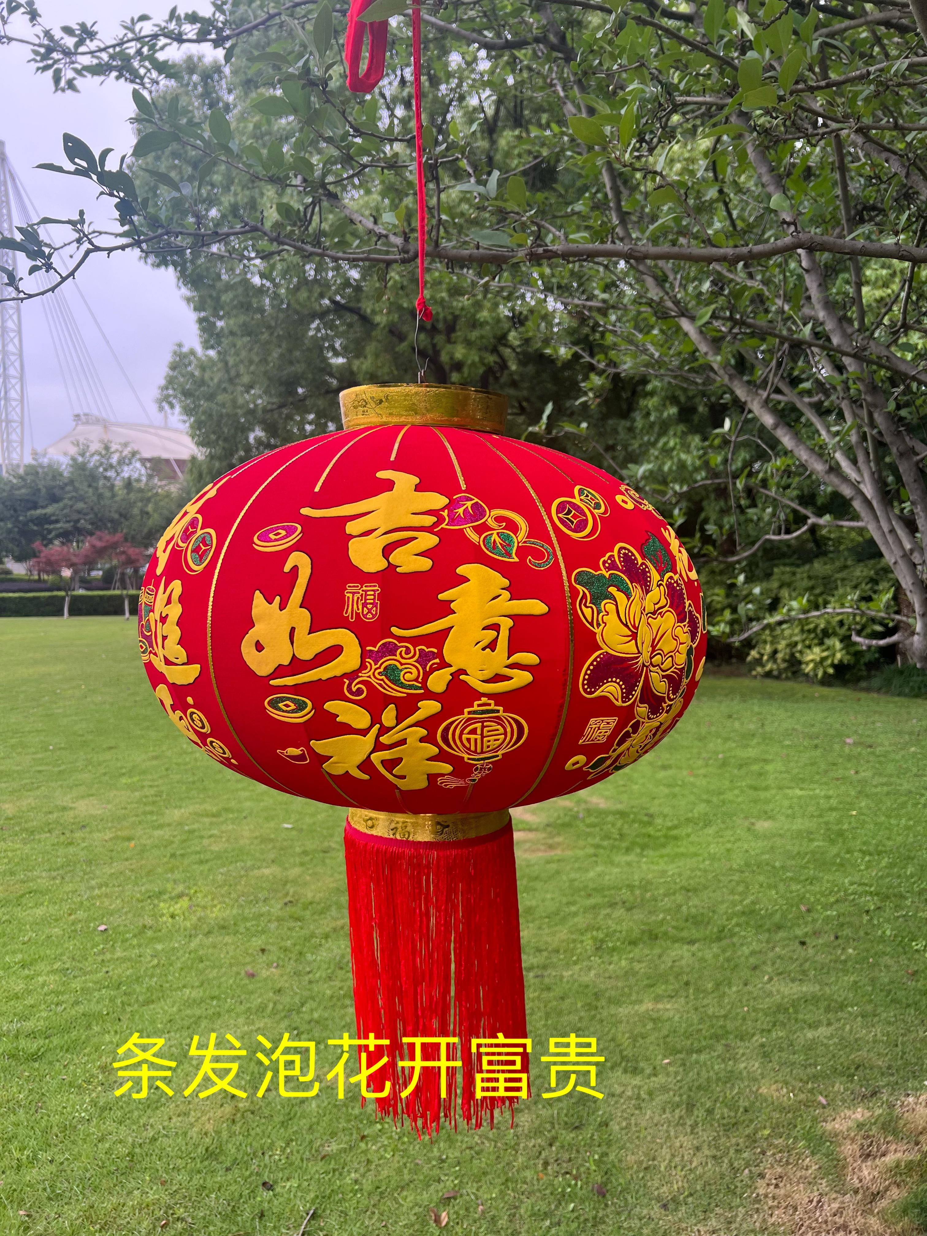 发泡牡丹花灯笼产品图