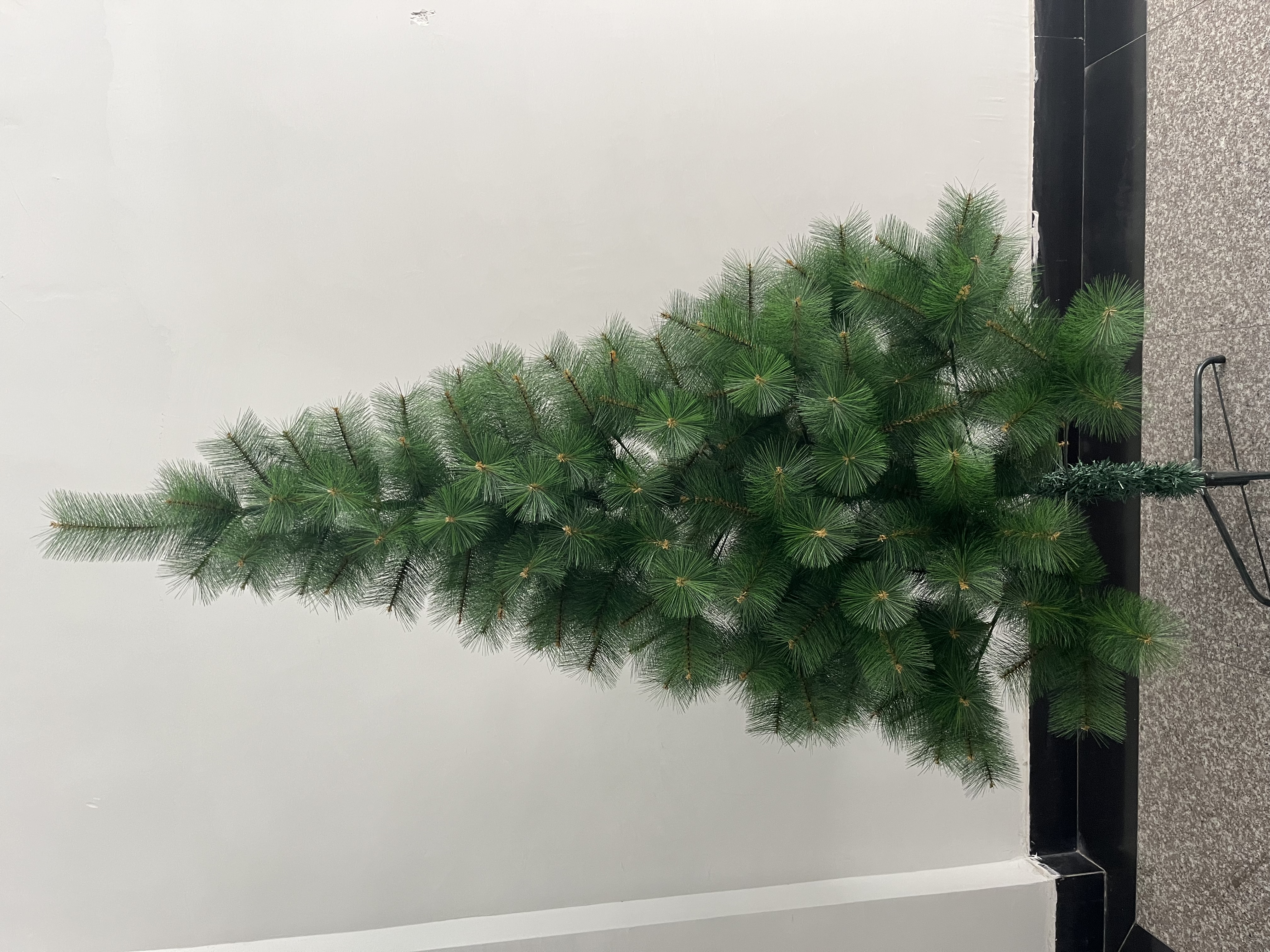 松针树，圣诞树，1.8米树